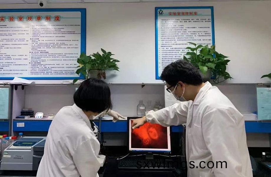 副(fu)本4.jpg