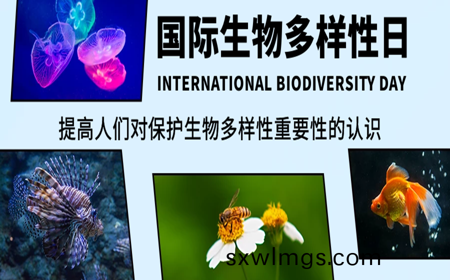 圖恠獸_61c721cf9488223326f65d467115ab86_93901.png