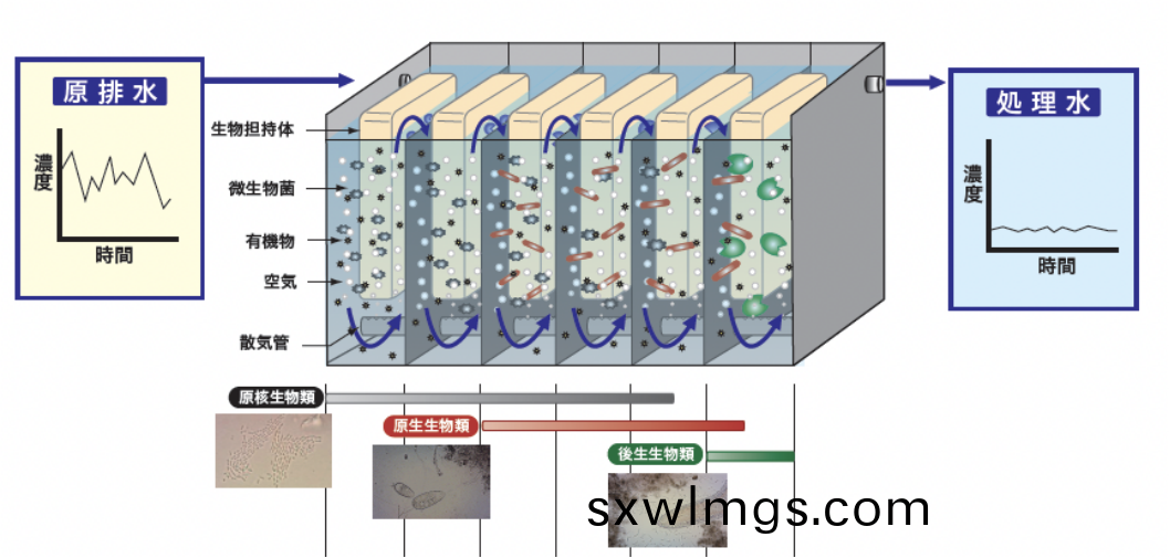 Biochemical Technology of High Salinity Wastewater